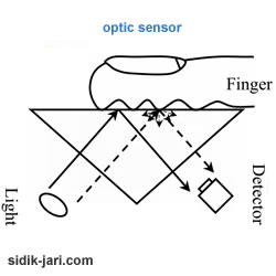 optic fingerprint sensor img 4 Sistem Pembacaan Sensor Sidik Jari